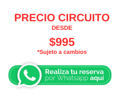 Realiza tu Reserva Realiza tu Reserva